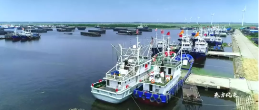 集團(tuán)全力助推南通外向型農(nóng)業(yè)綜合開發(fā)區(qū)委托招商引資，打造現(xiàn)代化專業(yè)食品園區(qū)