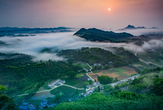 集團(tuán)全力助推安徽六安霍山縣委托招商引資，著力打造支柱型特色產(chǎn)業(yè)高質(zhì)發(fā)展