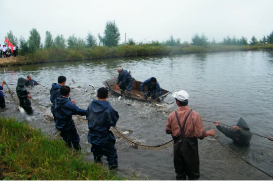 集團(tuán)全力助推黑龍江大慶肇源縣委托招商引資，挖掘多元化產(chǎn)業(yè)融合發(fā)展新動能