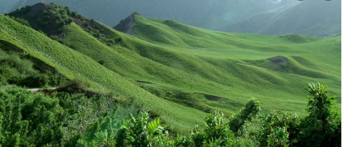 東方龍商務(wù)集團助力新疆烏什縣委托招商引資，推進產(chǎn)業(yè)發(fā)展集聚