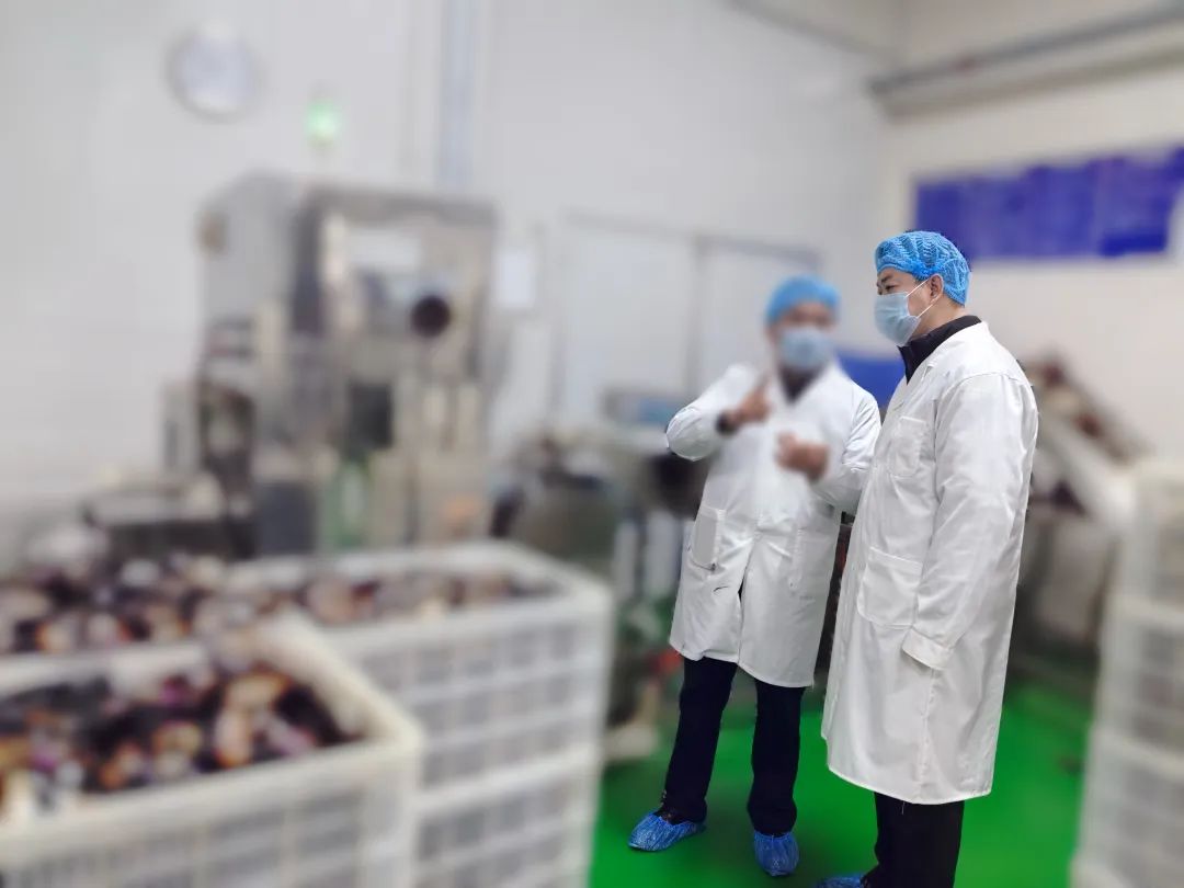 20年老牌企業(yè)，多家知名連鎖品牌合作商！四川某地方政府實(shí)地對接品牌休閑食品擴(kuò)建投資選址項(xiàng)目